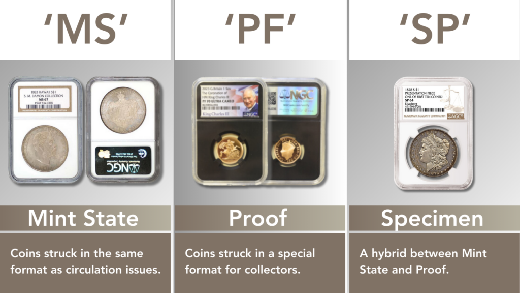 Banner image showcasing three types of NGC grading: MS (Mint State) represented by a shining, uncirculated coin; PF (Proof) illustrated by a coin with a mirror-like finish and sharp details; and SP (Specimen) depicted by a coin with a special finish intended for collectors.