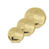 The 2025 Remembrance Gold Essential Sovereign Set